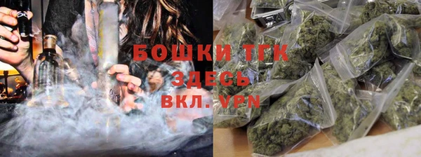 PSILOCYBIN Богородицк